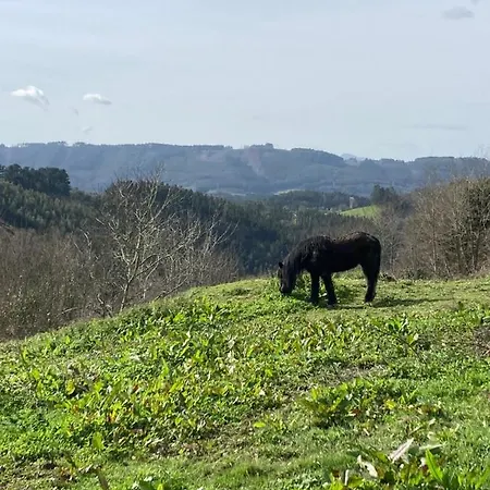 Lekunberri Baserria * Arrieta (Biscay)