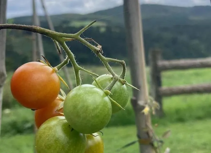 Lekunberri Baserria Arrieta (Biscay)