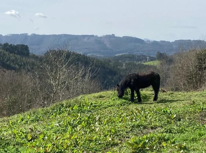 Lekunberri Baserria * Arrieta (Biscay)