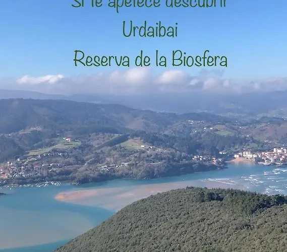 Apartment Lekunberri Baserria Arrieta (Biscay)