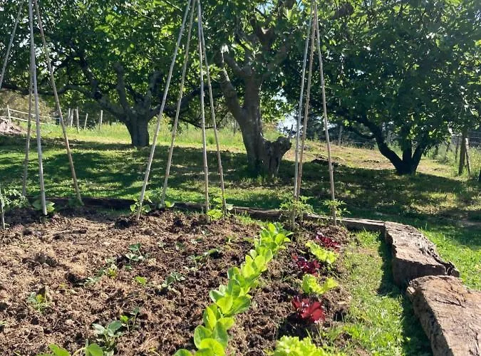 Lekunberri Baserria Apartment