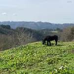 Lekunberri Baserria * Arrieta (Biscay)