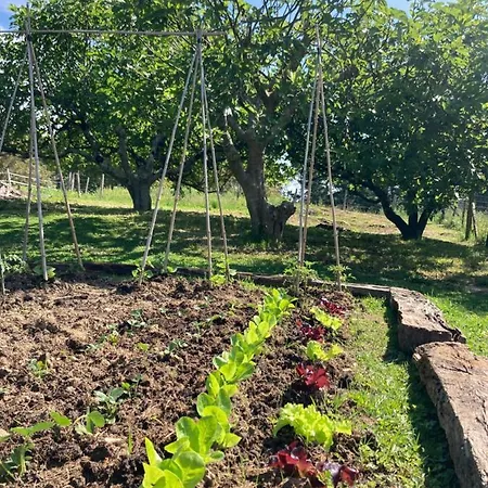 Lekunberri Baserria Апартаменты