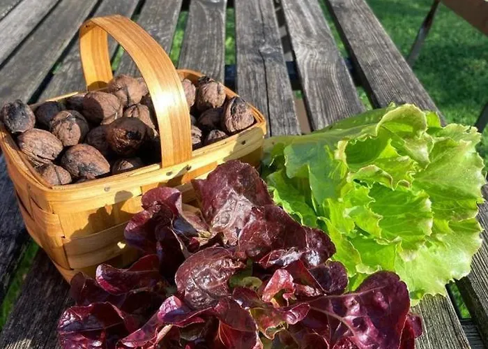 Apartament Lekunberri Baserria Arrieta (Biscay)